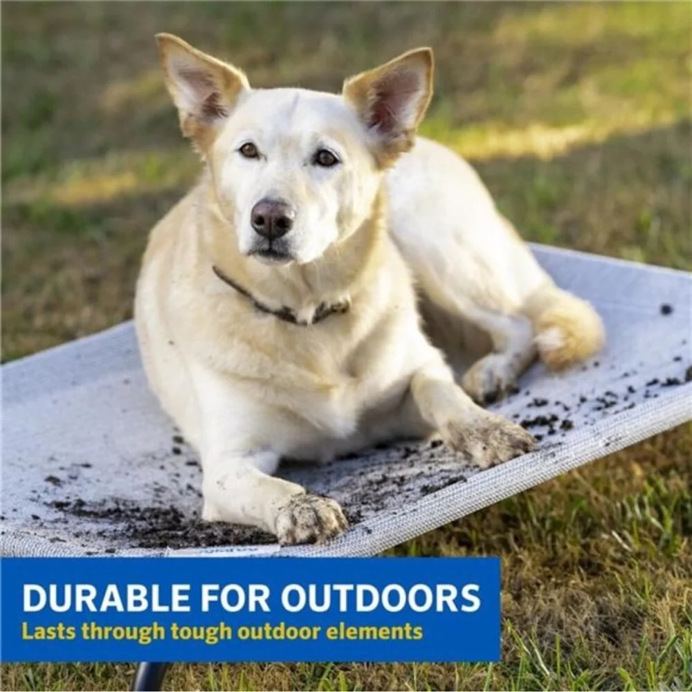 Cooling Elevated Dog Bed, Indoor and Outdoor,Large,Brunswick Green,51.00